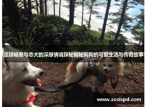 足球明星与忠犬的深厚情谊探秘揭秘狗狗的可爱生活与传奇故事